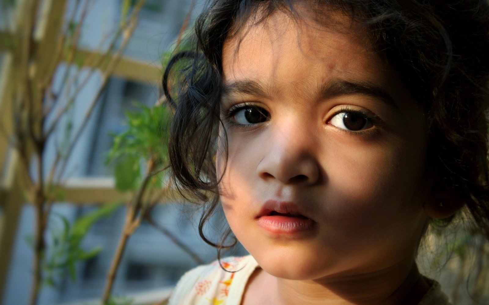 10 Fascinating Facts About the Human Eye